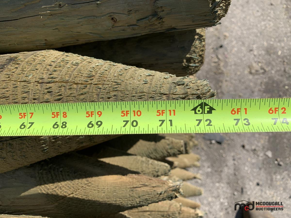 Lift of 4 x 6' Pressure Treated Posts