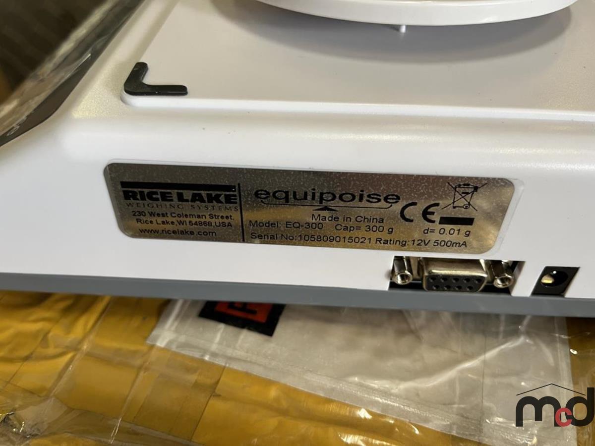 Rice Lake Equipoise Compact Balance