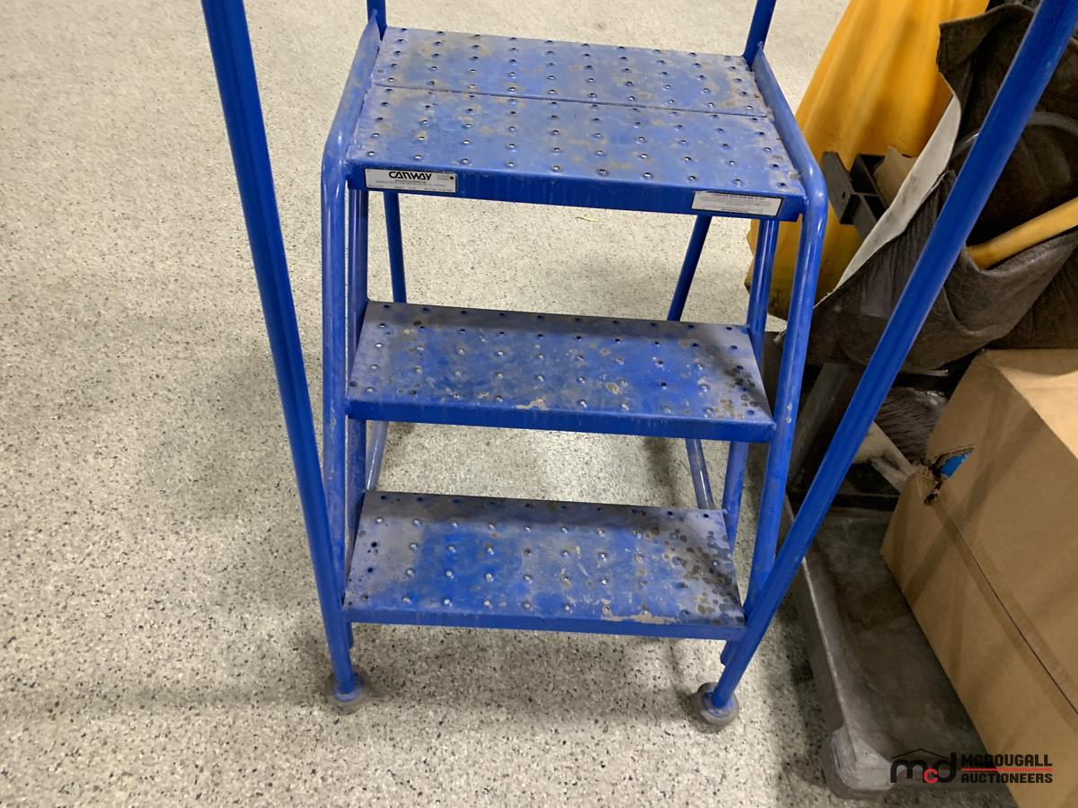 Aisle Ladder and Janitorial Cart