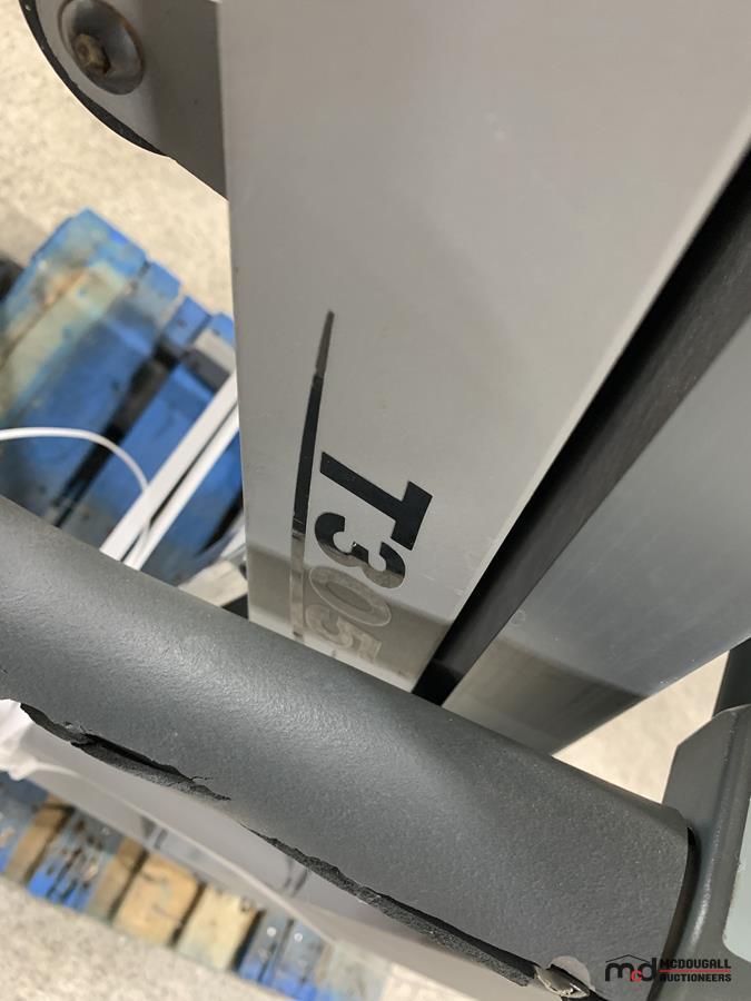 Trimline T305 Treadmill