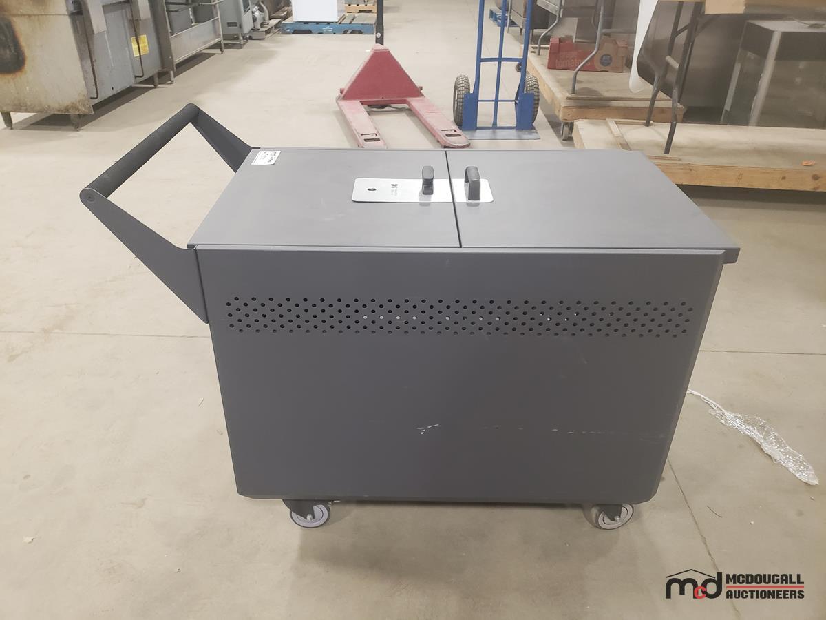 Datamation Security Cart DS-NSC-32