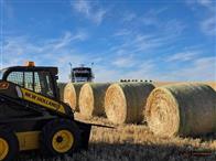 Group of (34) Bales (Equal to 1 Full Super B Load) - Certified Barley ...