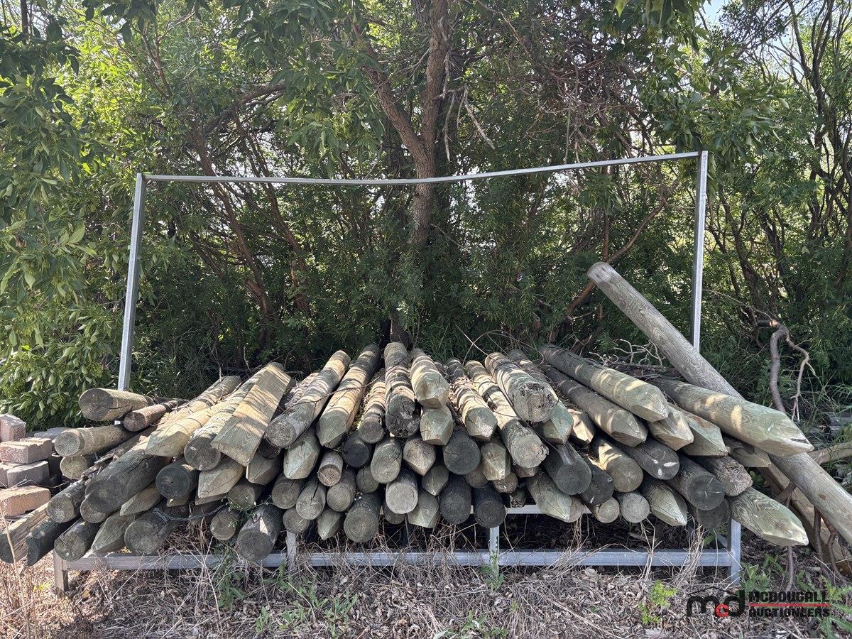 Assorted Fence Posts