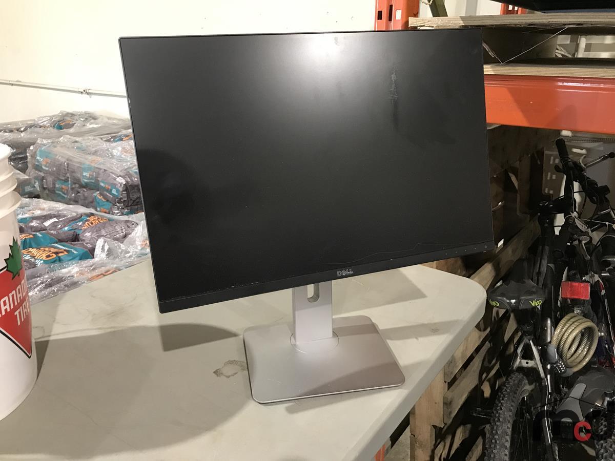 Dell LCD Computer Monitor (Scratch on Screen)