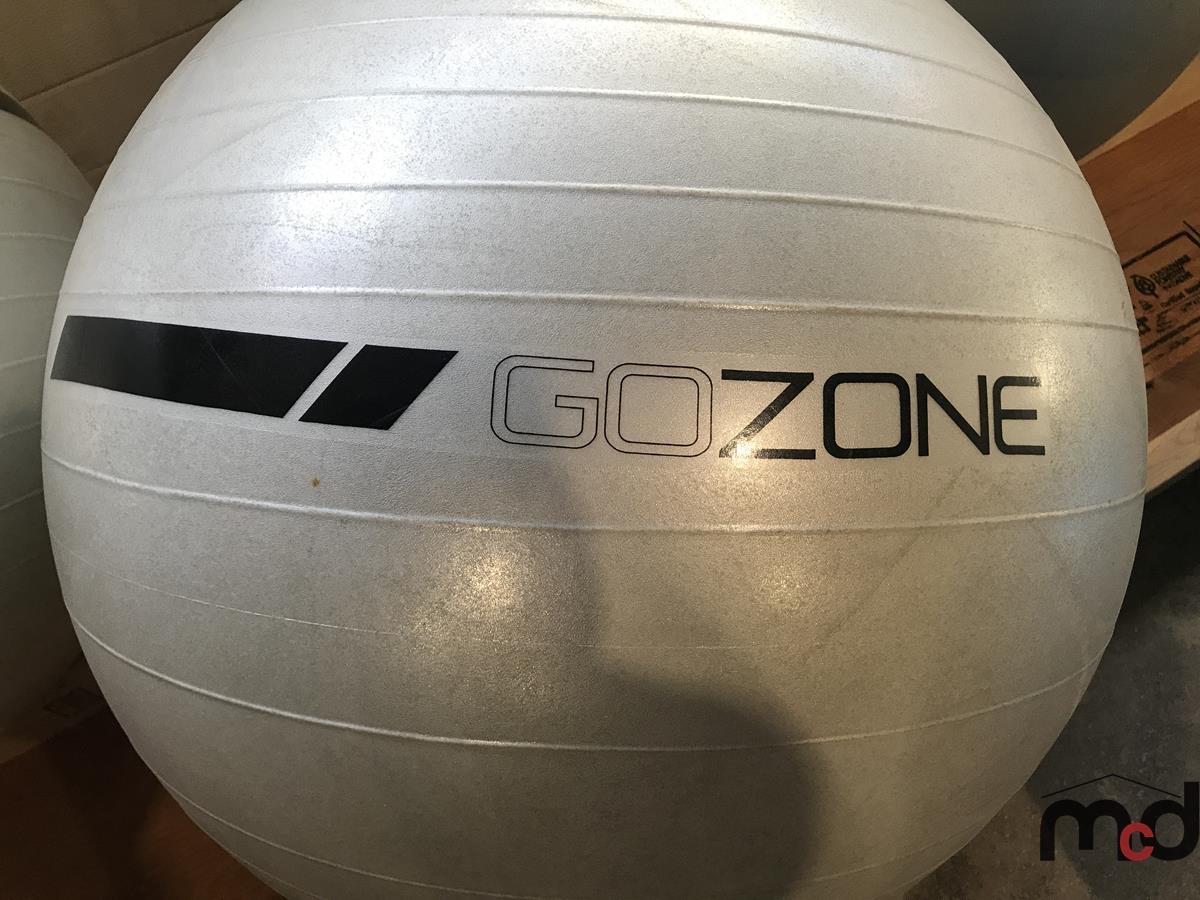 (2) Go Zone Exercise Balls