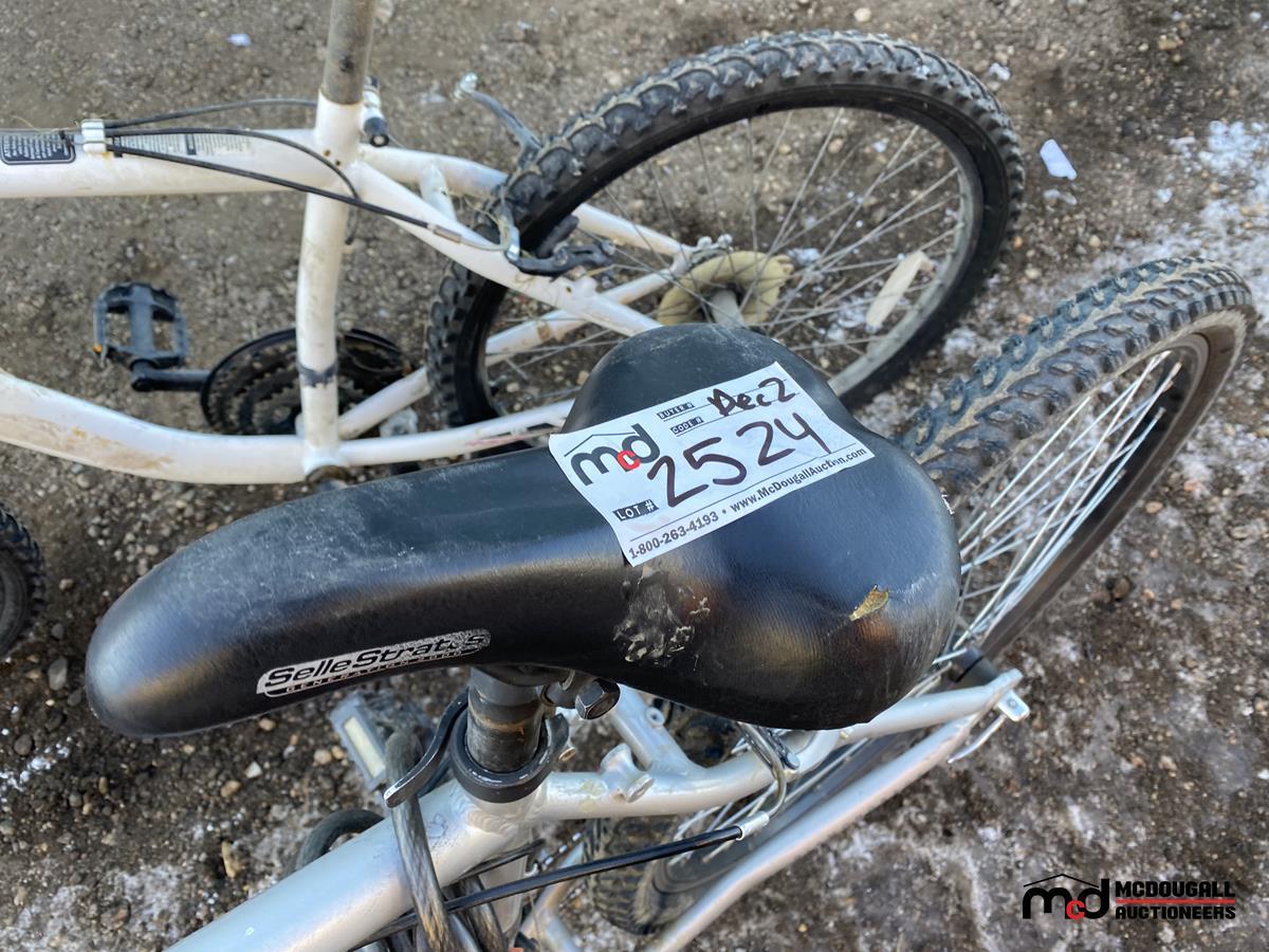 Diamondback Copperhead Bicycle and Hyper Boundary Trail Bicycle
