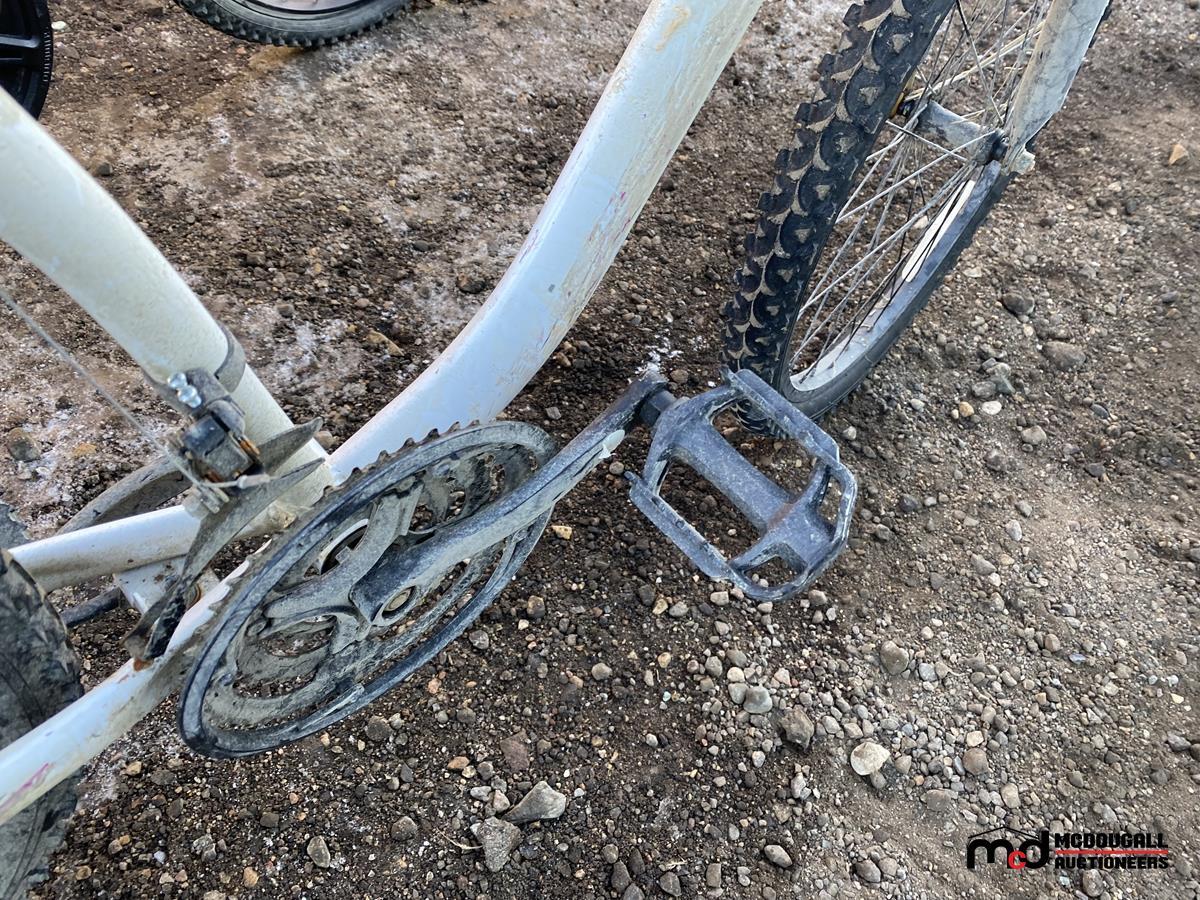 Diamondback Copperhead Bicycle and Hyper Boundary Trail Bicycle