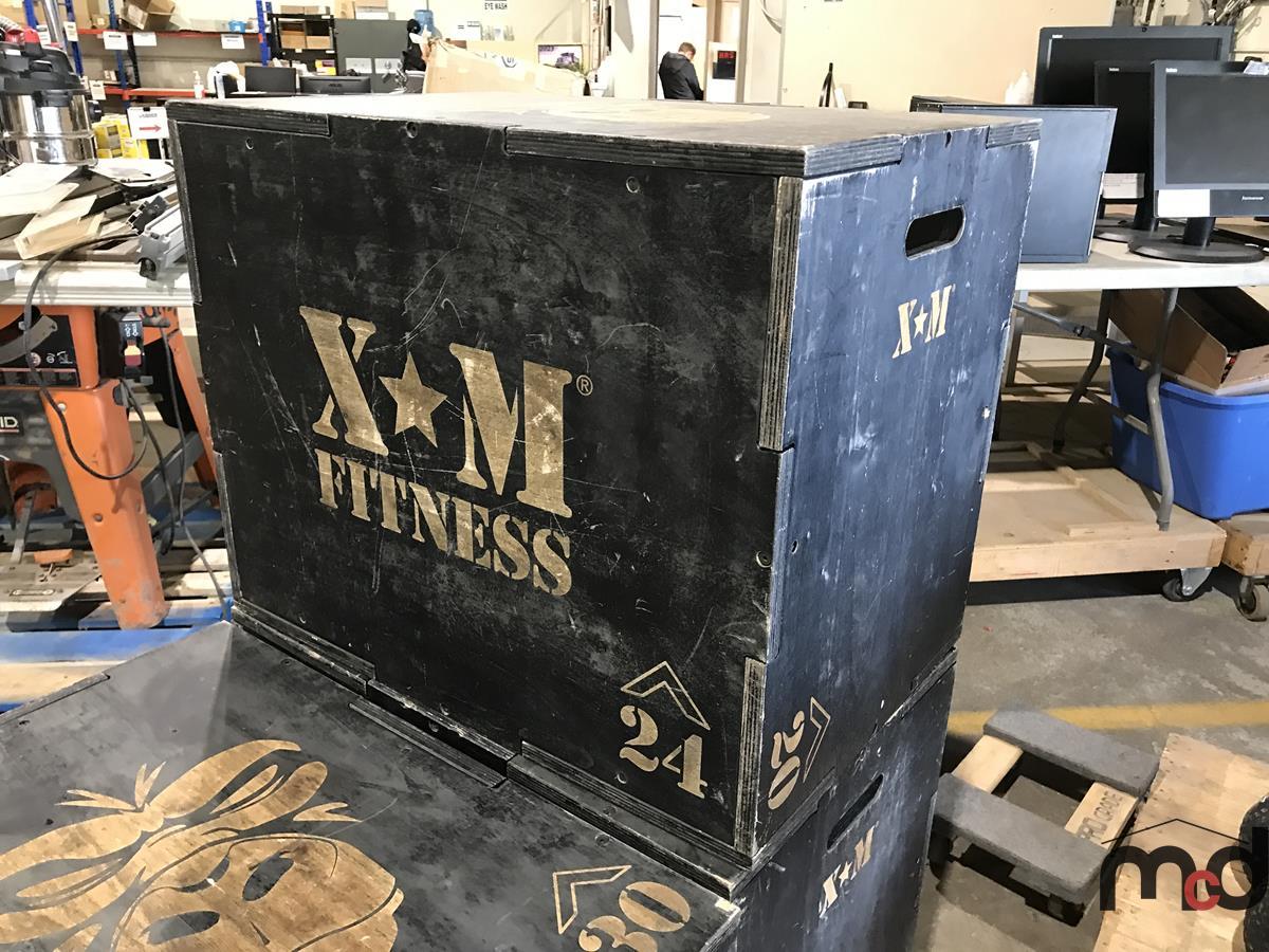 (3) XM Fitness Training Boxes