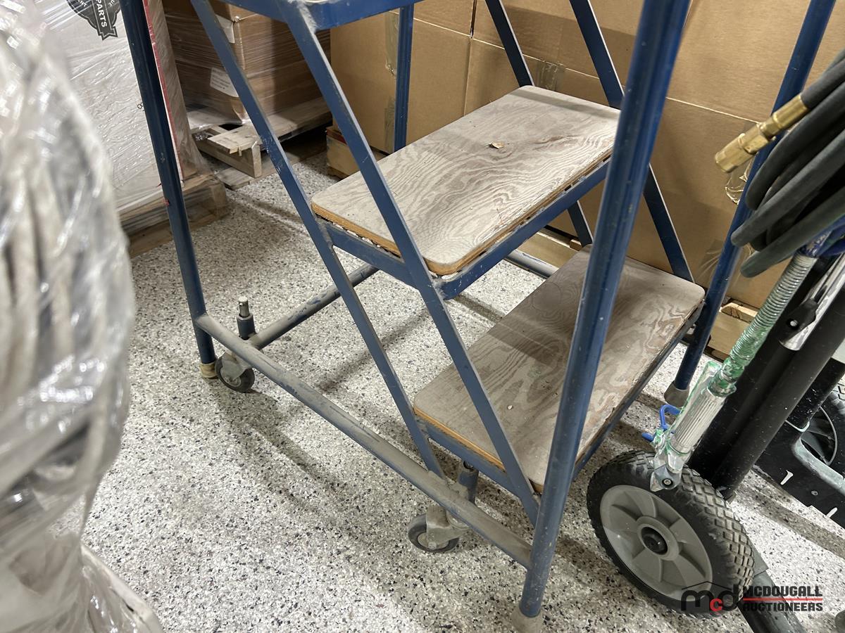 Graco Magnum Paint Sprayer & Bent Rolling Ladder
