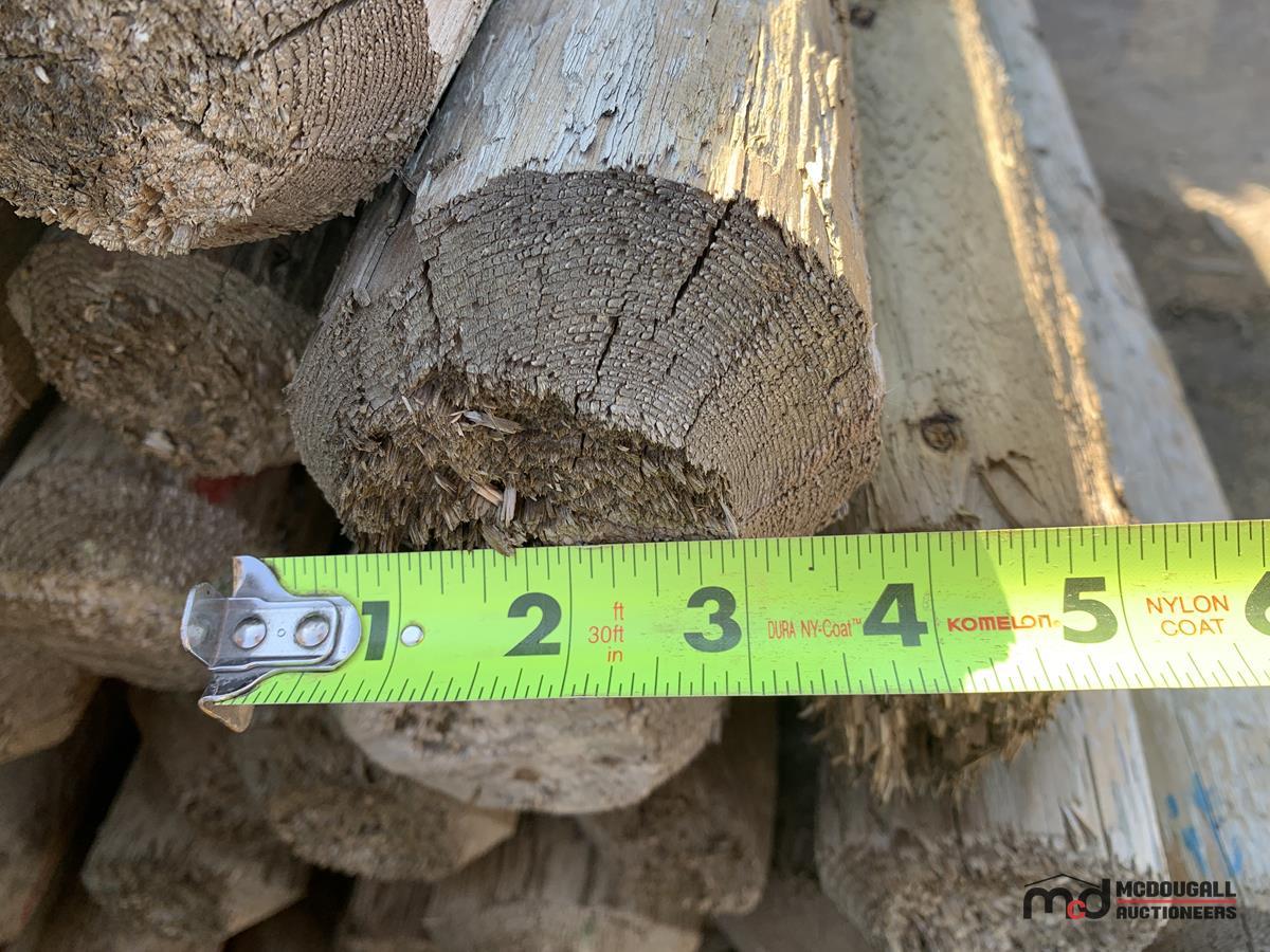 Lift of 4 x 7' Pressure Treated Posts
