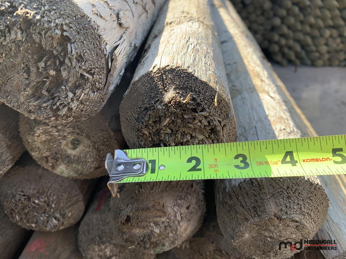 Lift of 4 x 7' Pressure Treated Posts
