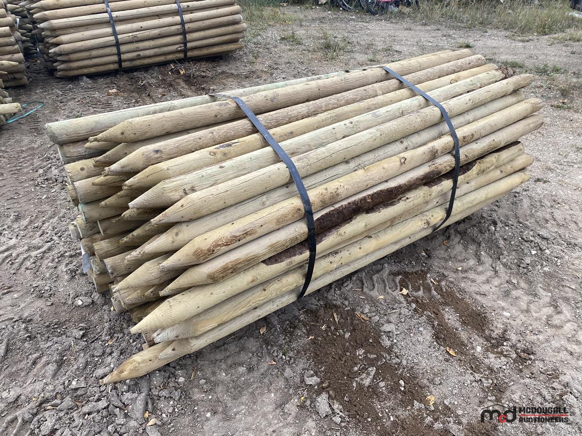 Pressure Treated Posts (3-4