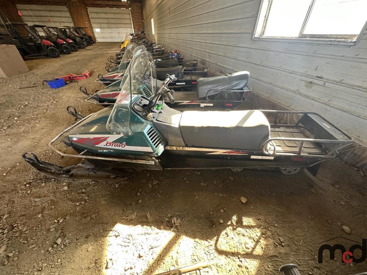 2009 Yamaha Bravo Snowmobile