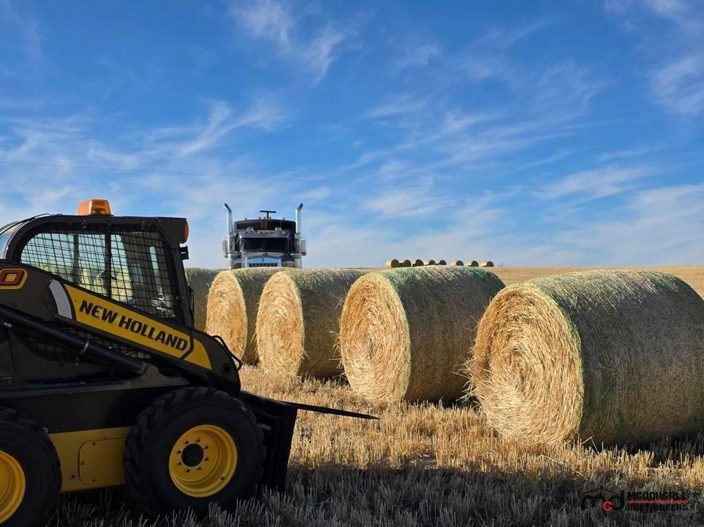 Group of (34) Bales (Equal to 1 Full Super B Load) - Certified Barley ...