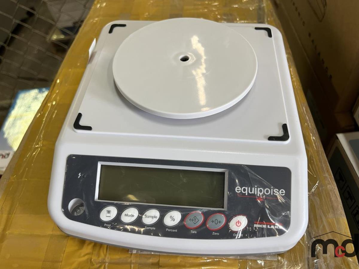 Rice Lake Equipoise Compact Balance
