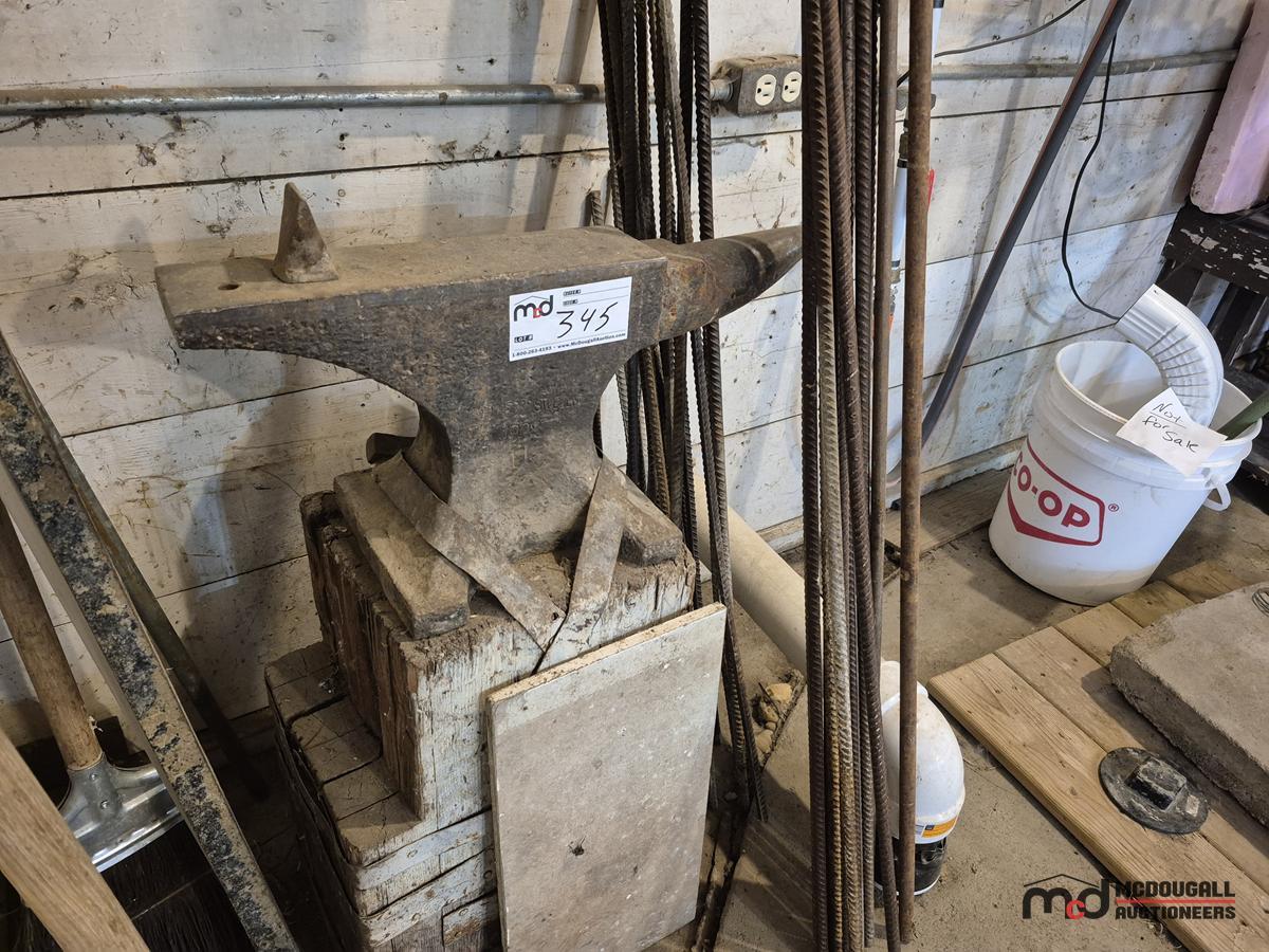 Sweden Anvil on Blocks and Assorted Rebar