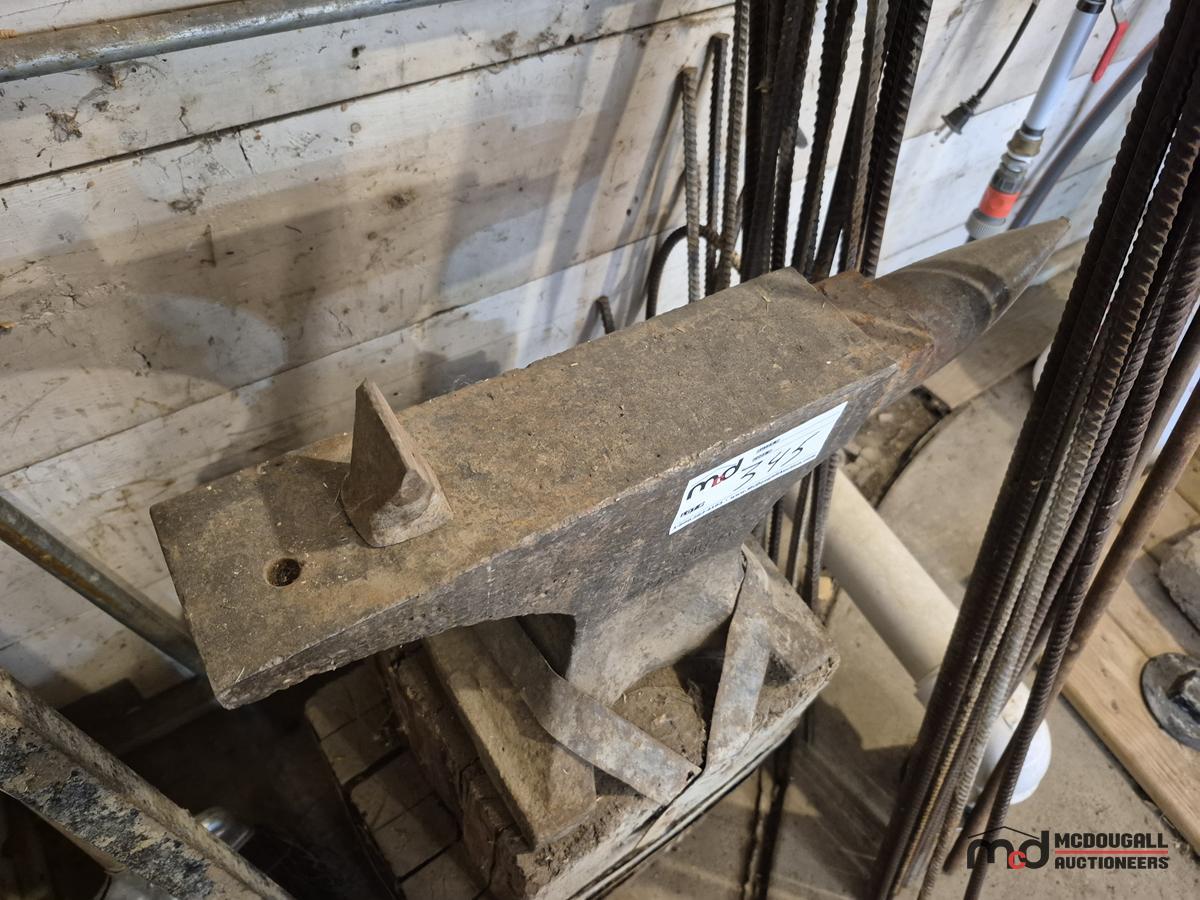 Sweden Anvil on Blocks and Assorted Rebar